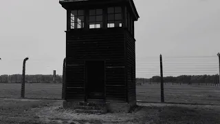 Выжившая в Освенциме - Женя из Барановичей