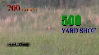 COYOTE HUNTING-- 700 YARD SPOT  500 YARD SHOT  22-250 STYLE