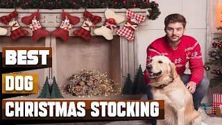 Best Dog Christmas Stocking In 2024 - Top 10 Dog Christmas Stockings Review