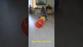 Школа дронів Київ, FPV Drone Kyiv