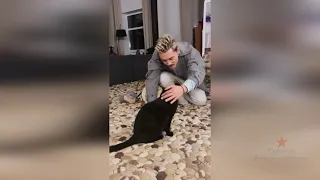Встреча Димы Билана с котом Соломоном
