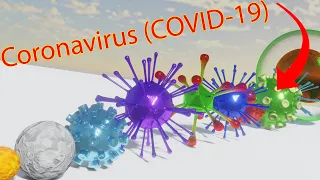 Virus Size Comparison 2021 3D 4K 60FPS