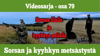 OSA 79 - Sorsan ja kyyhkyn metsästystä - kausi 2020/2021