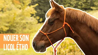 Horse & Tips | Nouer et ajuster son licol en corde