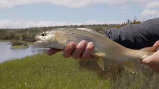 2022/23 Tasmanian Trout Fly Fishing Season - Mega Recap with Matt from Trout Tales