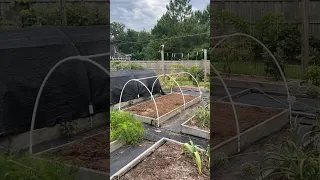 A Simple $20 Structure To Keep Your Garden Safe From Heat, Cold, Pests