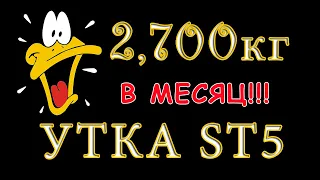 Утка st5 взвешивание. Сколько корма съели? В каком возрасте убирать мускусную утку?