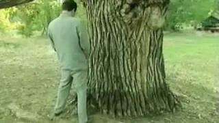 borat paying respect to the oldest tree in US&A