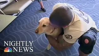 Meet The Woman Reuniting Vets With Their Retired Service Dogs | NBC Nightly News