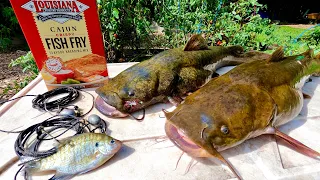 Setting Bush Hooks for River Catfish! Flathead Catch n' Cook!