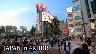 4K・ Tokyo Shinjuku night walk - Big cat・4K HDR