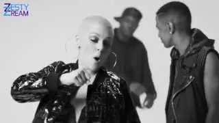 Jessie J   Wild music video