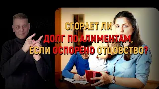 Сгорает ли долг по алиментам, если отцовство оспорено в суде? Мужчинам на заметку!