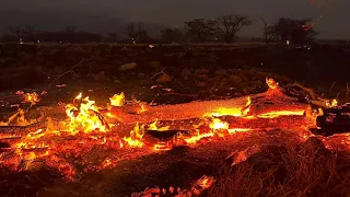 At least 67 people have been killed by Hawaii wildfires