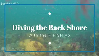 Diving the Back Shore with the FIFISH V6