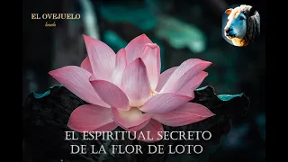 EL SECRETO DE LA FLOR DE LOTO. ESPIRITUALIDAD Y TRASCENDENCIA