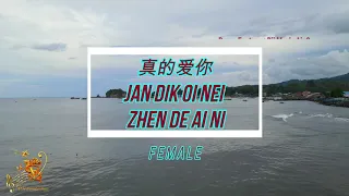 Zhen De Ai Ni [Cantonese] (真的爱你) Female Version - Karaoke mandarin with drone view