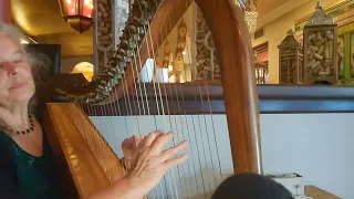 When Irish Eyes are Smiling -  Harp Cover - De Luna Harps