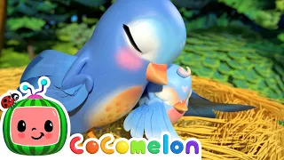 Five Little Birds! | CoComelon Furry Friends | Animals for Kids