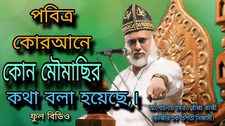 পবিত্র কোরআনে কোন মৌমাছির কথা বলা হয়েছে,। আলোচনায় হযরত খাঁজা কাজী বেনজীর হক চিশতী নিজামী।