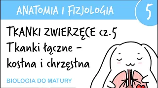 Tkanki zwierzęce cz.5 - Kostna i chrzęstna - Anatomia i fizjologia 5 - matura z biologii