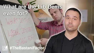 What exactly are the Lib Dems for?