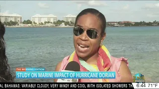 STUDY ON MARINE IMPACT OF HURRICANE DORIAN