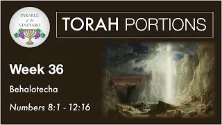 Torah Portions - Week 36 - Behalotecha - Numbers 8:1 - 12:16  (2020-2021)