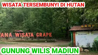 WISATA TERSEMBUNYI HUTAN GUNUNG WILIS MADIUN