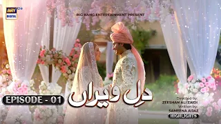 Dil-e-Veeran Episode 1 - Nawal Saeed - Shahroz Sabzwari - Highlights - ARY Digital