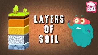 Layers Of Soil - The Dr. Binocs Show | Best Learning Videos For Kids | Peekaboo Kidz