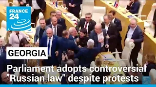 Georgian Parliament adopts controversial "Russian law" despite protests • FRANCE 24 English