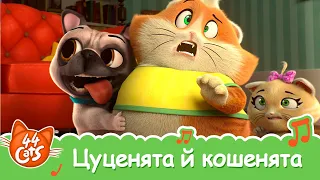 44 Cats | "Цуценята й кошенята" пісня [ВІДЕОКЛІП]