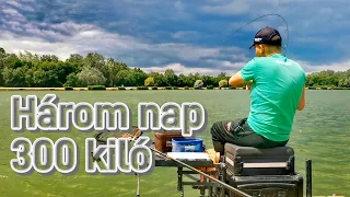 DOVIT METHOD FEEDER - Három nap 300 kiló