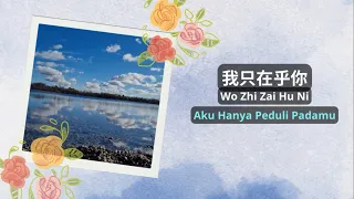 Wo Zhi Zai Hu Ni《我只在乎你》【Lagu Mandarin】- Teresa Teng [SubIndo/Pinyin Lyric & terjemahan]