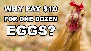 Why Pay $10 for One Dozen Eggs?