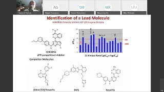 Lead Selection and Optimization by Medicinal Chemistry