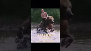 putin and bear 普京和熊