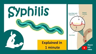 Syphilis explained in 1 minutes | What is the main cause of syphilis? | Can syphilis be cured?