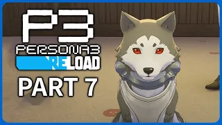 Persona 3 Reload Playthrough Part 7 - Koromaru & Ken