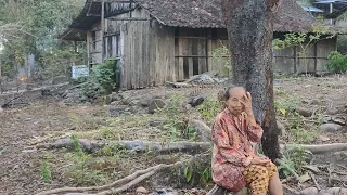 Kampung Suku Jawa Asli Pengobat Rindu Tempo Doeloe, Warganya Ramah Suasana Jadul Bikin Betah