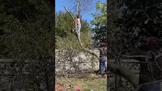 Tree cutting FAILS. This could end badly…