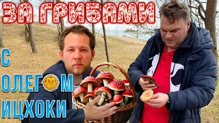 За грибами с Олегом Ицхоки