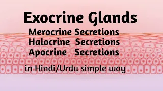 What is Exocrine gland | Merocrine ,Apocrine and Halocrine glands secretions| In Hindi/urdu
