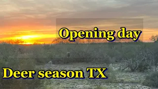 Deer season opening day South Texas
