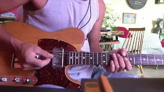 l'Anamour - Gainsbourg - Guitare Cover