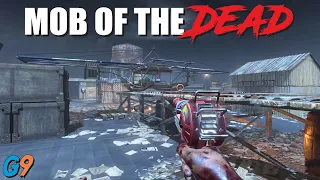 Black Ops 2 Zombies - Mob Of The Dead (Building The Plane)