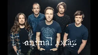 Animal джаZ, Zero People. История группы.Факты.Мнение.Рассказ 7