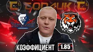Нефтехимик - Амур / КХЛ / прогноз и ставка на хоккей
