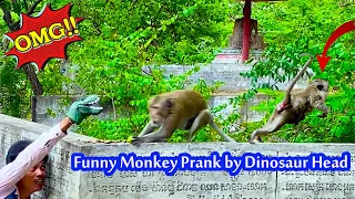 Funny Dinosaur Fake Snake Prank Monkeys #yayafuns